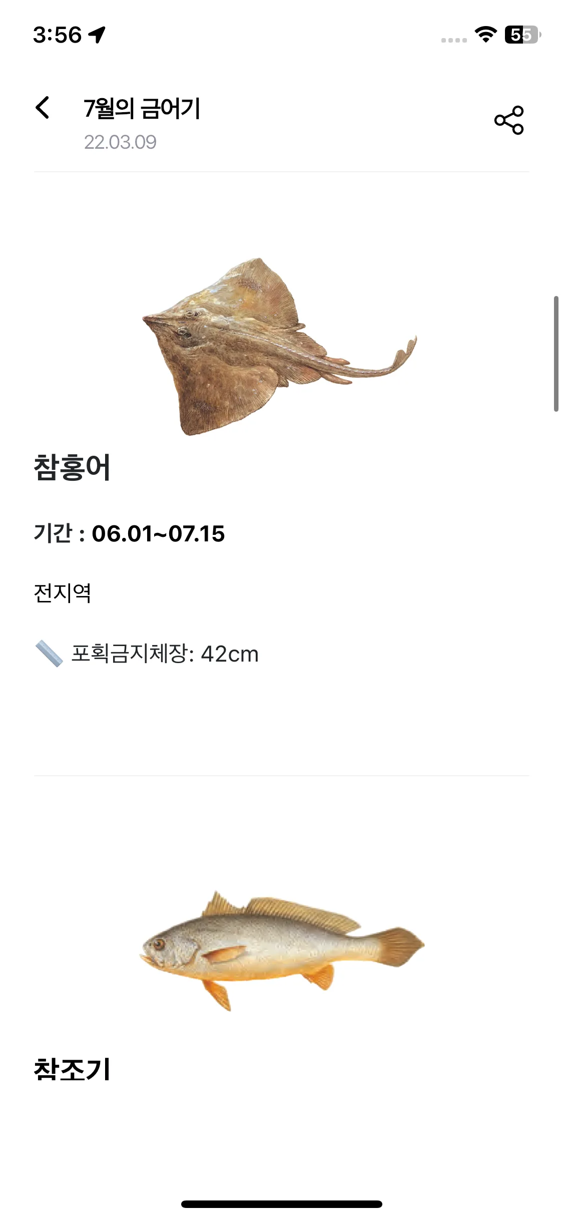 Test Image 7